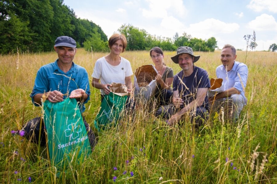 Fünf Fachleute haben jüngst bei Meinsdorf Samen von Gräsern und Blühpflanzen gesammelt, im Bild von links: Walter Bleeker, Birgit Beermann, Nicole Winkler, Dierk Kunzmann und Andreas Seemann. 