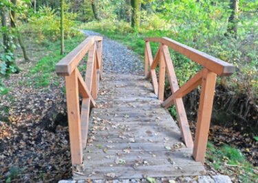 Bestattungswald wieder Thema im Rat - Die jüngst sanierte Brücke befindet sich direkt am geplanten Bestattungswald in Neukirchen. 