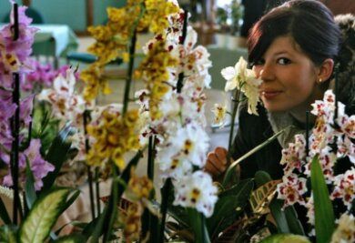 Besucher finden Orchideenschau im Kulturhaus besonders dufte - 
              <p class="artikelinhalt">Die 17-jährige Auerin Julia Linke ließ sich von der Farben- und Duftvielfalt im Kulturhaus begeistern.</p>
            