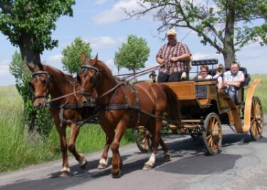 
              <p class="artikelinhalt">Besonders beliebt war bei den Besuchern des Kutschen- und Pferdetages, sich von den Hafermotoren durch die Gegend kutschieren zu lassen.  </p>
            