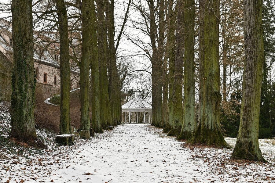 Biber frisst im Schlosspark Wechselburg wertvolle Bäume an - Der Schlosspark wurde im Stil eines englischen Landschaftsgartens angelegt und zieht sich bis an die Mulde.