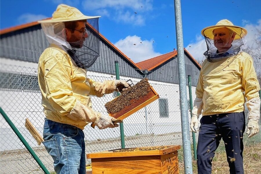Bienen der Plauener Stadtwerke produzieren fleißig Honig - Imker Mathias Gottwald aus Syrau (links) und Peter Kober, Geschäftsführer des Energieversorgers.
