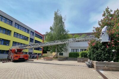 Bienenschwarm löst Feuerwehreinsatz in Schule aus - Die Wilkau-Haßlauer Feuerwehrleute mussten die Drehleiter der Berufsfeuerwehr Zwickau anfordern, um den tierischen Rettungseinsatz an der Comenius-Grundschule ausführen zu können. 