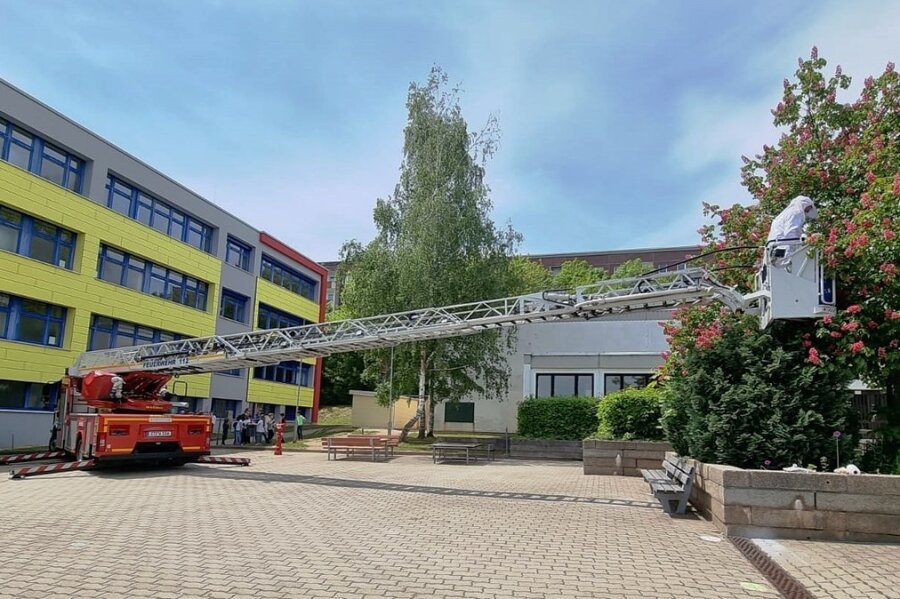 Bienenschwarm löst Feuerwehreinsatz in Schule aus - Die Wilkau-Haßlauer Feuerwehrleute mussten die Drehleiter der Berufsfeuerwehr Zwickau anfordern, um den tierischen Rettungseinsatz an der Comenius-Grundschule ausführen zu können. 