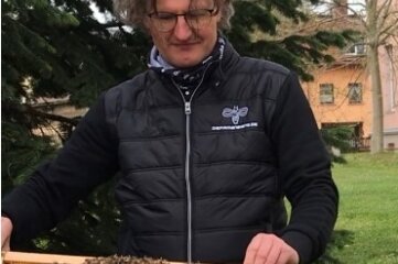 Bienenvolk im Garten angesiedelt - Jens Ebert präsentiert die Bienen. 