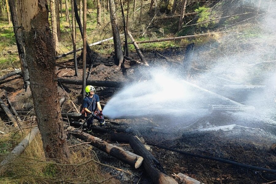 Bilder der Brandkatastrophe: So halten Feuerwehrleute in der Sächsischen Schweiz Kontakt ins Erzgebirge - Bilder aus dem Kirnitzschtal: Ein Feuerwehrmann aus dem Erzgebirge bewässert das Waldstück, um so das Übergreifen der Flammen zu verhindern. 