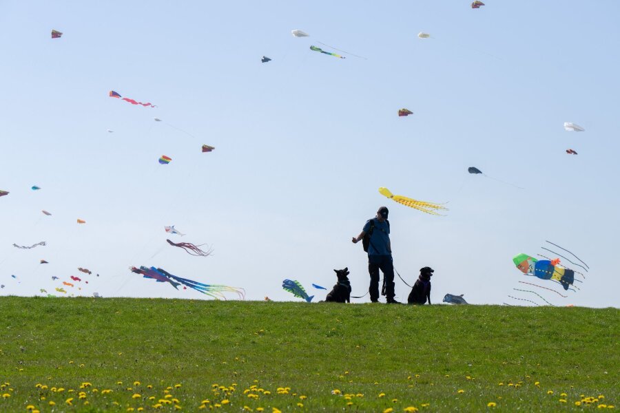 Bilder des Tages vom 01.05.2024 - Ein Mann und seine beiden Hunde betrachten die bunten Flugdrachen, die beim Drachenfest im niedersächsischen Dornumersiel durch die Lüfte fliegen.