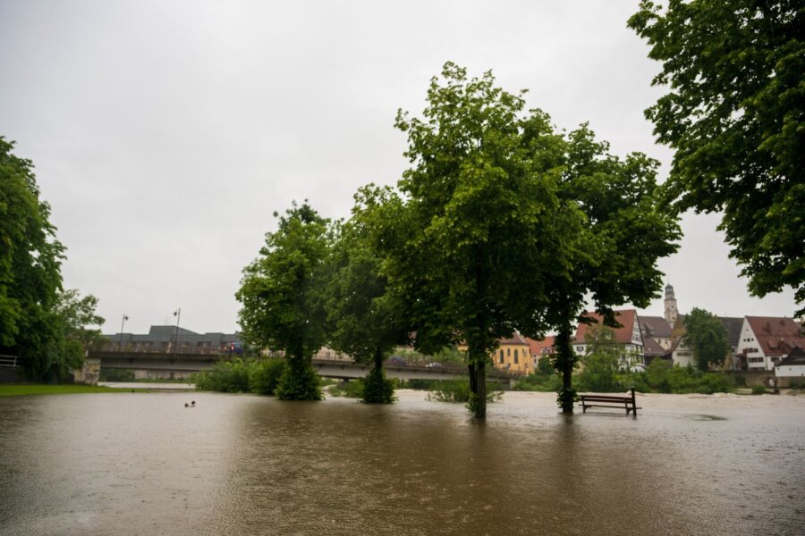 Bilder des Tages vom 01.06.2024 - Es regnete und regnete in den vergangenen Tagen: Im bayerischen Lauingen ist die Donau über die Ufer getreten.
