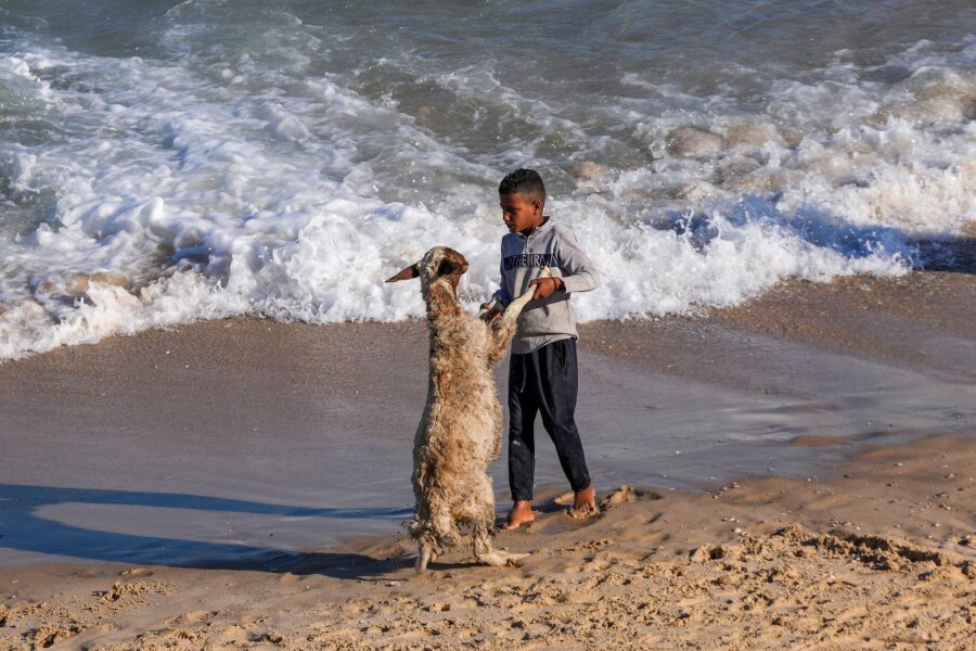 Bilder des Tages vom 08.05.2024 - Am Strand von Deir al Balah im Gazastreifen: Was aussieht wie ein kleines Tänzchen, ist eigentlich ein Versuch, die Ziege im Mittelmeer zu waschen.
