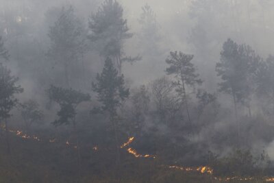 Bilder des Tages vom 09.04.2024 - Wie ein Band umgibt das Feuer die Bäume: Am Berg Cerro El Cafe bei Valencia brennt es im Wald.