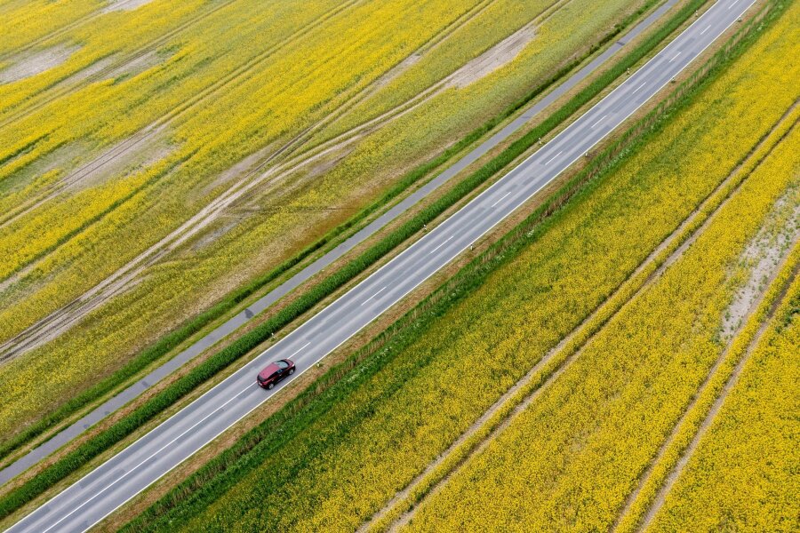 Bilder des Tages vom 10.05.2024 - Ein beliebtes Fotomotiv: die gelbe Rapsblüte, wie hier im Landkreis Wittmund. Heuschnupfengeplagte Menschen dürfte der Anblick hingegen weniger erfreuen.