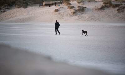 Bilder des Tages vom 14.04.2024 - Ein Mann spaziert am frühen Morgen mit seinem Hund am Strand von Warnemünde.