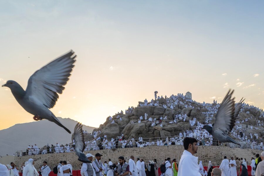 Bilder des Tages vom 15.06.2024 - Hadsch-Pilger auf dem Berg Arafat: Das Ritual auf dem Berg Arafat, der als Hügel der Barmherzigkeit bekannt ist, gilt als Höhepunkt der Hadsch.