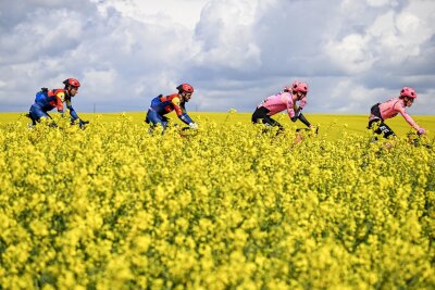 Bilder des Tages vom 17.04.2024 - Fahrt im Frühlingswind: Durch blühende Rapsfelder führt das Eintagsrennen Flèche Wallonne der UCI Worldtour in Belgien.