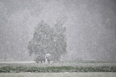 Bilder des Tages vom 17.04.2024 - Der Winter ist zurück - auch in Österreich. Ein Reiter und sein Pferd sind bei dichtem Schneefall nur schemenhaft zu erkennen.