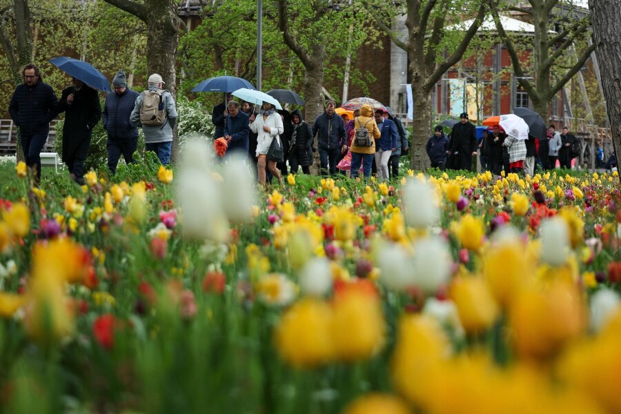 Bilder des Tages vom 19.04.2024 - Kühles und nasses Wetter in Sachsen-Anhalt: Besucher laufen mit Regenschirmen über die Landesgartenschau in Bad Dürrenberg, die heute eröffnet wurde.