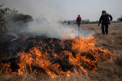 Bilder des Tages vom 19.05.2024 - Anwohner versuchen, einen sich nähernden Flächenbrand im mexikanischen Bundesstaat Veracruz unter Kontrolle zu bringen.