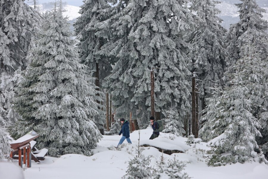 Bilder des Tages vom 20.04.2024 - Die Fichten auf dem Brocken sind schneebedeckt: Eine Kaltwetterfront hat Teile des Harzgebirges überraschend in ein Winterwunderland verwandelt.