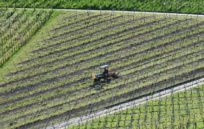 Bilder des Tages vom 26.04.2024 - Ein Winzer bearbeitet in einem Weinberg in Stuttgart mit einem Traktor den Boden. Nach Frostnächten fürchten Winzer und Obstbauern Ernteausfälle.