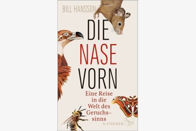 Bill Hansson hat "Die Nase vorn": Borkenkäfer riecht die kranken Bäume - Bill Hansson: "Die Nase vorn".  S. Fischer Verlag. 400 Seiten. 24 Euro.