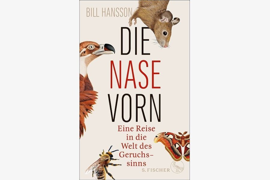 Bill Hansson: "Die Nase vorn".  S. Fischer Verlag. 400 Seiten. 24 Euro.