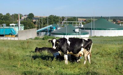 Biogas-Anlage als Reaktion auf steigende Energiekosten - 
              <p class="artikelinhalt">Die Biogasanlage in Dorfstadt.</p>
            