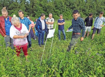 Blühwiese nützt nicht nur den Insekten - Mitarbeiter Andreas Neubert (3. v. r.) erläutert den Teilnehmern des Feldtages das Prinzip der Blühflächennutzung der Agrargenossenschaft "Bergland". 