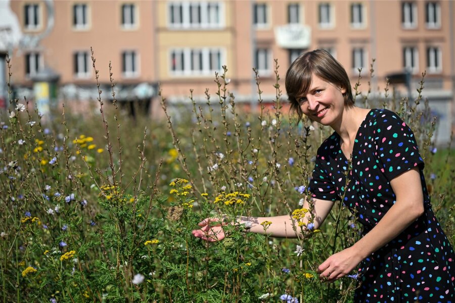 Blühwiesen in Chemnitz: Warum einige verschwunden sind - Grünen-Stadträtin Susann Mäder an einer der weiterhin existierenden Blühwiesen am Konkordiapark. Sie freut sich auch darüber, dass bei Mäharbeiten auf Wiesen in der Stadt mittlerweile einige Abschnitte stehen gelassen werden.