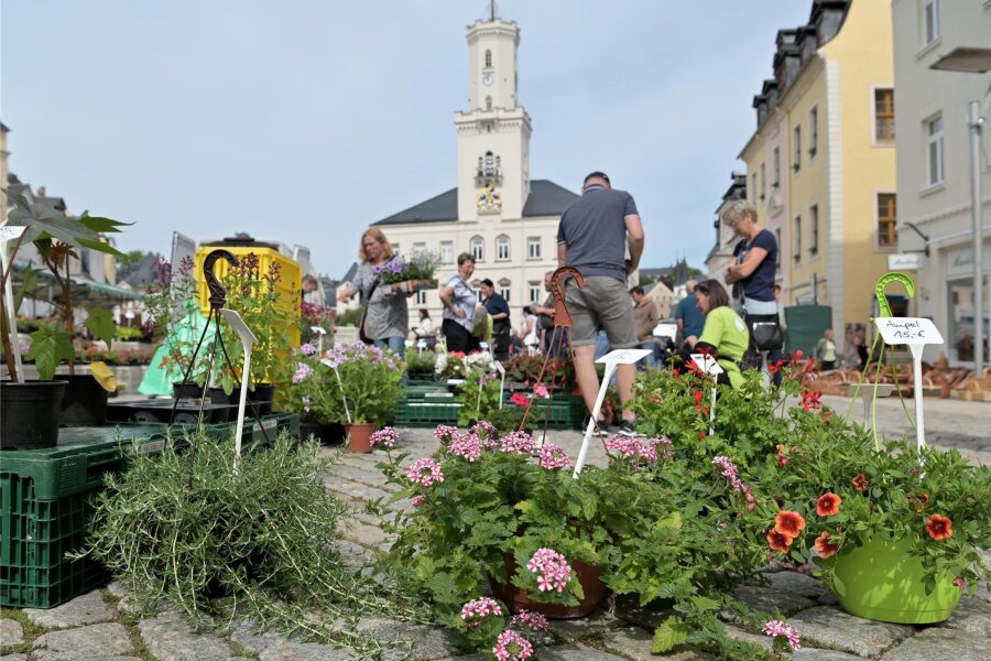Blumen- und Pflanzenmarkt in Schneeberg lockt zahlreiche Besucher in die Innenstadt - Der Schneeberger Blumen- und Pflanzenmarkt hat am Wochenende zahlreiche Besucher in die Innenstadt gelockt.