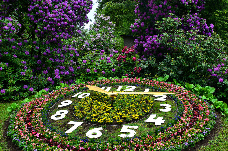 Blumenuhr im Stadtpark Hainichen hat jetzt Videoüberwachung - 