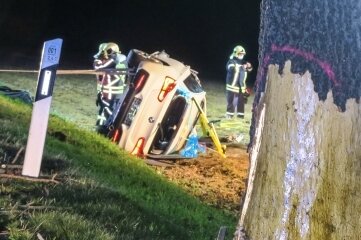 BMW-Fahrer bei Unfall schwer verletzt - Bei dem Unfall wurden auch mehrere Bäume beschädigt, die laut Polizei zu fällen sind. 