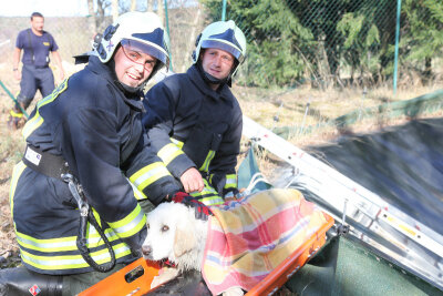 Bockau: Feuerwehr rettet Hund aus Klärbecken - 