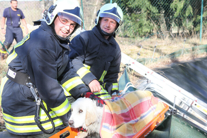 Bockau: Feuerwehr rettet Hund aus Klärbecken - 