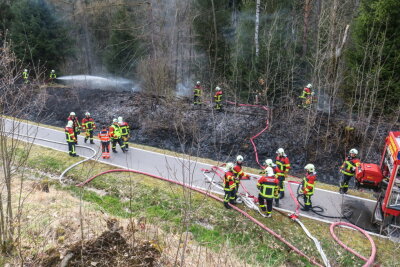Böschungssbrand am Muldentalradweg - 