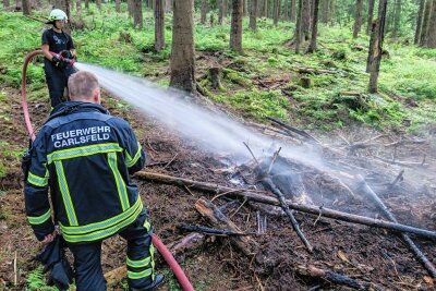 Brände im Wald: 17-Jähriger soll in Carlsfeld gezündelt haben - In Carlsfeld musste die Feuerwehr im vergangenen Jahr zwei Tage nacheinander Brände im Wald löschen. 