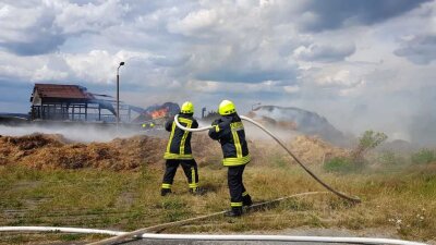 Brand bei Milchvieh-Anlage: Mehr als 100.000 Euro Schaden - 