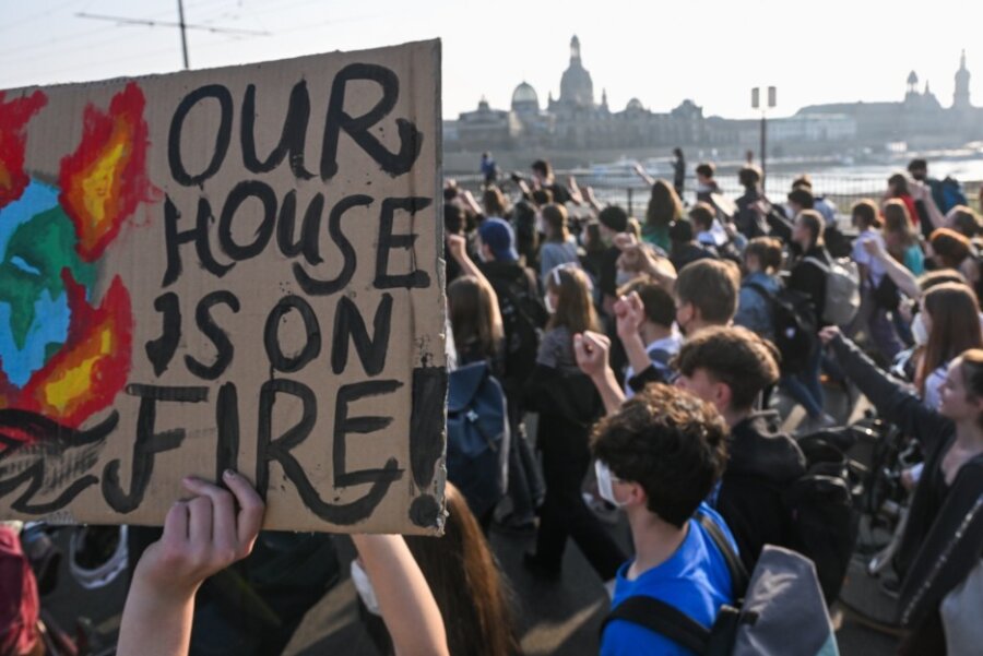 Die deutschlandweite Bewegung Fridays for Future hat ihren Teil dazu beigetragen, dass die Stadt Brand-Erbisdorf einen Botschafter für Klimaschutz beschäftigen möchte. Das Foto ist während einer Demonstration in Dresden entstanden.