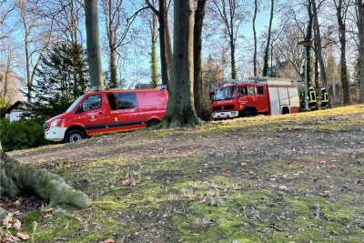 Brand im Stadtpark Hainichen gelöscht - Einen Brand im Stadtpark löschte die FFW Hainichen am Freitagvormittag. 