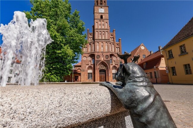 Brandenburg an der Havel Die Stadt der Möpse Freie Presse Reise