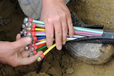 Breitbandnetz wird ausgebaut: Ab Montag Straßensperrungen in zwei Schwarzenberger Ortsteilen - Teil des Breitbandnetzes: Ein Mann fächert ein Glasfaserkabel mit farbigen Einzelsträngen auseinander.