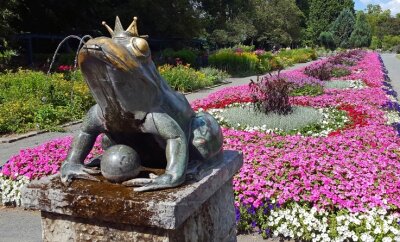 Bronze-Frosch sprudelt am Theresienstein - Er thront im Botanischen Garten Hof auf dem Rand eines Brunnens und ist zurzeit umgeben von üppigen Blüten. 