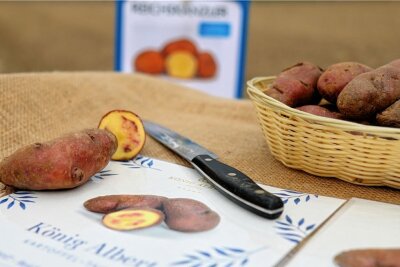 Broschüre gibt Überblick über Hofläden in Sachsen - In der Direktvermarkterbroschüre kommt auch die Kartoffel nicht zu kurz. Insbesondere im Vogtland haben sich einigeBauernhöfe auf den Anbau historischer Sortenspezialisiert. 
