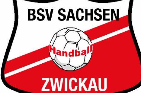 BSV Sachsen feiert Auswärtssieg bei den Handball-Luchsen - 