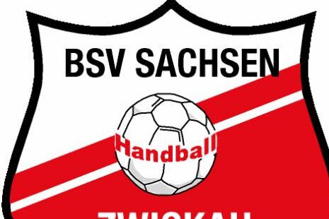 BSV Sachsen Zwickau gewinnt in Solingen - 