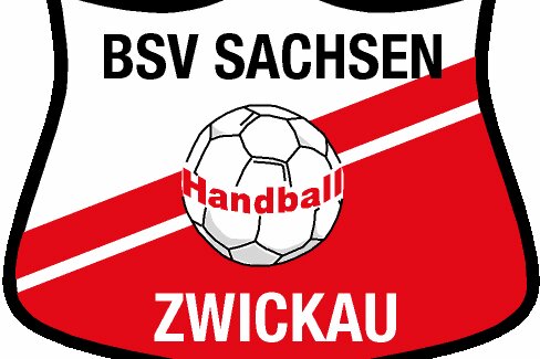 BSV Sachsen Zwickau kassiert zweite Saisonniederlage - 