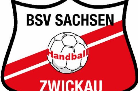 BSV Sachsen Zwickau unterliegt Füchsen Berlin - 