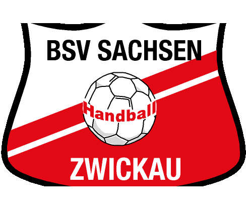 BSV Sachsen Zwickau verliert deutlich - 