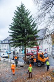 Buchholz: Weihnachtsbaum wird aufgestellt - Zwölf Meter hoch ist der diesjährige Weihnachtsbaum in Buchholz.