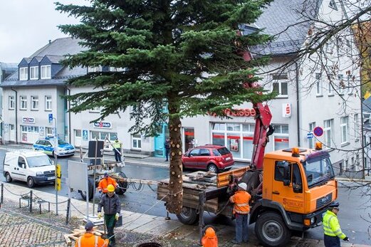 Buchholz: Weihnachtsbaum wird aufgestellt - Zwölf Meter hoch ist der diesjährige Weihnachtsbaum in Buchholz.