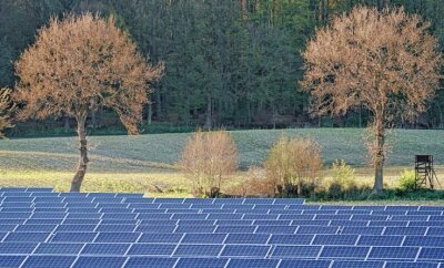 Bürger dürfen bei neuer Solaranlage mitreden - Eine Solaranlage im Grünen (Symbolbild). In Mühlau will ein Investor eine solche Anlage errichten. 